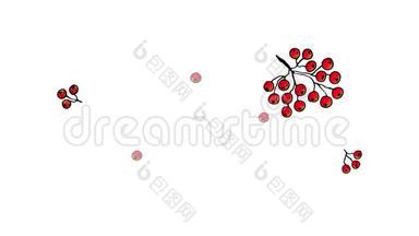 感恩节快乐。 动画横幅。 标志与叶罗万和橡木，橡子，罗万浆果在白色背景。